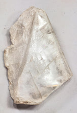 Load image into Gallery viewer, Selenite Cab Rough or Mineral Specimen or Metaphysical Healing Stone Sel2