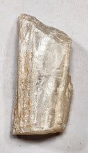 Load image into Gallery viewer, Selenite Cab Rough or Mineral Specimen or Metaphysical Healing Stone Sel1