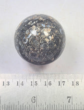 Load image into Gallery viewer, Turritella Agate 35mm Sphere for Home or Office Interior Decor Unique Gift 6197