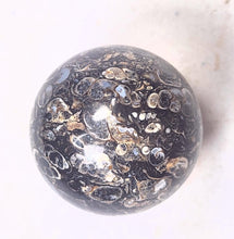 Load image into Gallery viewer, Turritella Agate 35mm Sphere for Home or Office Interior Decor Unique Gift 6197