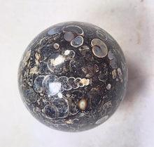 Load image into Gallery viewer, Turritella Agate 35mm Sphere for Home or Office Interior Decor Unique Gift 6197