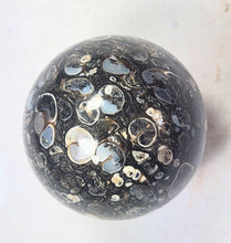 Load image into Gallery viewer, Turritella Agate 35mm Sphere for Home or Office Interior Decor Unique Gift 6197