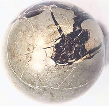 Load image into Gallery viewer, Fluorescent Septarian Nodule 35mm Sphere for UV Collection 6224