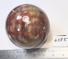 Load image into Gallery viewer, Petrified Wood Rare 101mm Sphere Original Art Sculpture - Rustic Interior - 6385