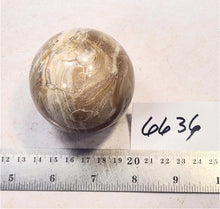 Load image into Gallery viewer, Wyoming Stromatolite 60mm Interior Decor Sphere/Home or Office/Metaphysical 6636