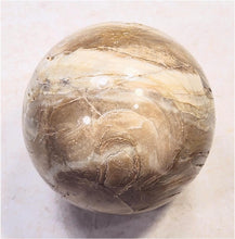 Load image into Gallery viewer, Wyoming Stromatolite 60mm Interior Decor Sphere/Home or Office/Metaphysical 6636