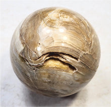 Load image into Gallery viewer, Wyoming Stromatolite 60mm Interior Decor Sphere/Home or Office/Metaphysical 6636