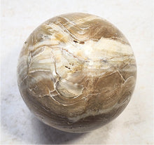 Load image into Gallery viewer, Wyoming Stromatolite 60mm Interior Decor Sphere/Home or Office/Metaphysical 6636
