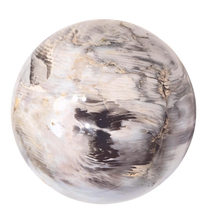 Load image into Gallery viewer, Fluorescent Petrified Wood w Crystal Vugs 89mm Sphere for UV Collection 6552