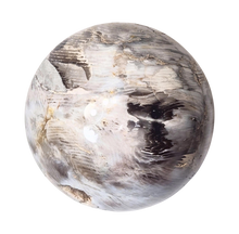 Load image into Gallery viewer, Fluorescent Petrified Wood w Crystal Vugs 89mm Sphere for UV Collection 6552