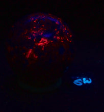 Load image into Gallery viewer, Fluorescent Calcite and Fluorite AZ Large 86mm Sphere for Collection 5372