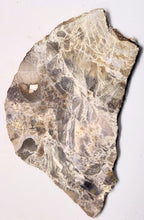 Load image into Gallery viewer, Purple Burro Creek Agate Large Slab for Jewelry Cab Cutting Rough or Specimen E6