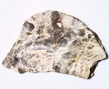 Load image into Gallery viewer, Purple Burro Creek Agate Large Slab for Jewelry Cab Cutting Rough or Specimen E6