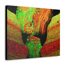 Load image into Gallery viewer, 20" x 16" Sterling Hill New Jersey Fluorescent Willemite and Calcitre Rough Canvas Print