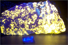 Load image into Gallery viewer, Fluorescent Large Wernerite End Cut Slab Specimen WSL5
