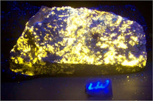 Load image into Gallery viewer, Fluorescent Large Wernerite End Cut Slab Specimen WSL5
