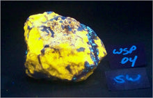 Load image into Gallery viewer, Fluorescent Wernerite Medium Specimen WSP04
