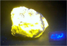 Load image into Gallery viewer, Fluorescent Wernerite Medium Specimen WSP04
