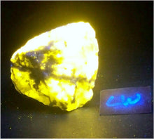 Load image into Gallery viewer, Fluorescent Wernerite Medium Specimen WSP04

