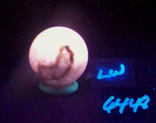 Load image into Gallery viewer, Fluorescent Boquillas Calcite 38mm Sphere - Stunning SW LW Mexican Mineral 6448

