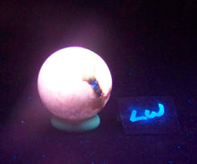Load image into Gallery viewer, Fluorescent Boquillas Calcite 38mm Sphere - Stunning SW LW Mexican Mineral 6448
