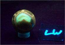 Load image into Gallery viewer, Fluorescent Septarian Nodule Piece 32mm Sphere for UV Collection or Study 6565
