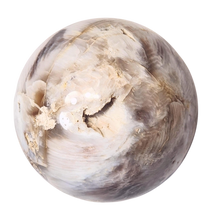 Load image into Gallery viewer, Fluorescent Petrified Wood w Crystal Vugs 89mm Sphere for UV Collection 6552

