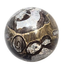 Load image into Gallery viewer, Mushroom Jasper w Crystal Vugs 57mm Classic Decor Sphere - Table Sculpture 6553
