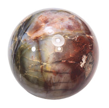 Load image into Gallery viewer, Petrified Wood Rare 101mm Sphere Original Art Sculpture - Rustic Interior - 6385
