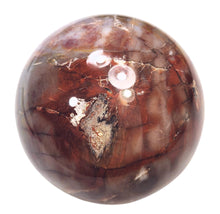 Load image into Gallery viewer, Petrified Wood Rare 101mm Sphere Original Art Sculpture - Rustic Interior - 6385
