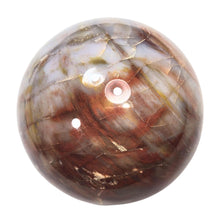 Load image into Gallery viewer, Petrified Wood Rare 101mm Sphere Original Art Sculpture - Rustic Interior - 6385
