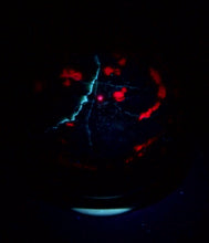 Load image into Gallery viewer, Fluorescent Ruby in Zoisite Large 124mm Sphere for Office or Home Decor 5255A

