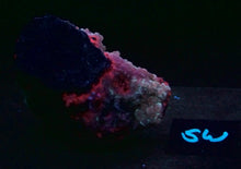 Load image into Gallery viewer, Fluorescent Cobaltoan Calcite Medium Specimen cocal3
