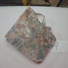 Load and play video in Gallery viewer, Petrified Wood Cab Cutting Rough or Large Specimen petwoodA
